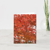 Kyoto Herfstbladeren Kaart (Voorkant)