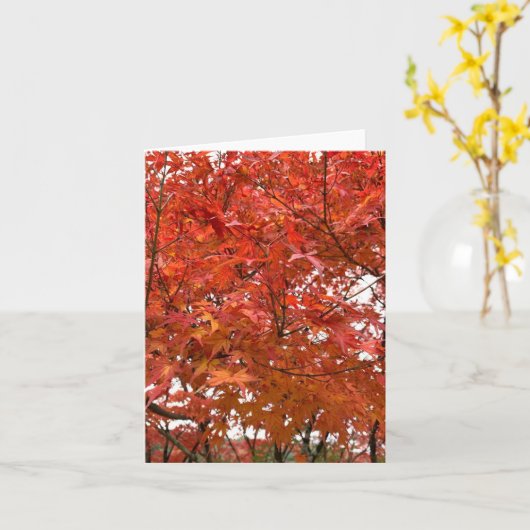 Kyoto Herfstbladeren Kaart (Gele Bloem)