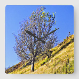 L0NEBOOM VIERKANTE KLOK