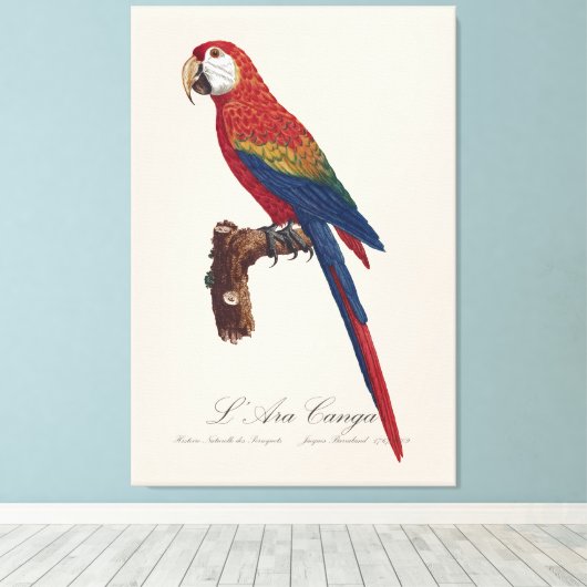 L' Ara Macao / Scarlet Macaw Canvas Afdruk (Insitu (Houten vloer))