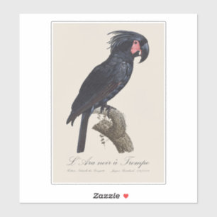 L' Ara Noir a Trompe / Palm Cockato Sticker