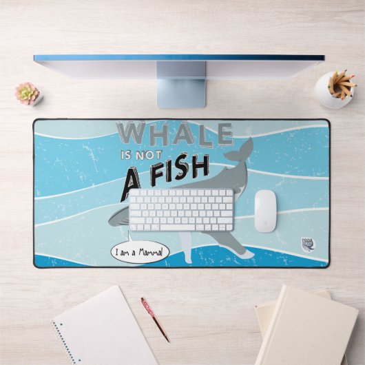 La baleine n'est pas un poisson (Bureau 1)
