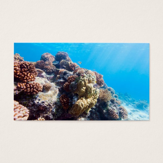 La barrière de corail (Devant)