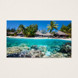 La barrière de corail et la station tropicale