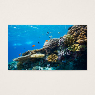 La barrière de corail sous l'eau