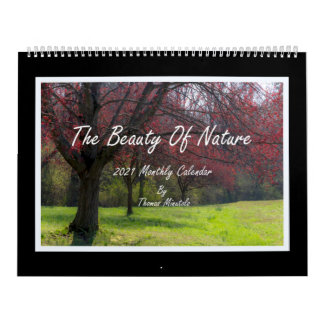 La Beauté De La Nature Calendrier 2021