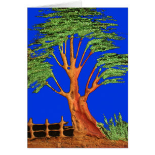 La beauté de l'acacia en Afrique : Serengeti Seren
