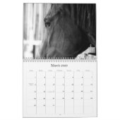 La beauté du calendrier de chevaux (Mar 2026)