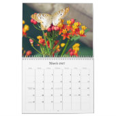 La beauté du calendrier de papillons (Mar 2027)