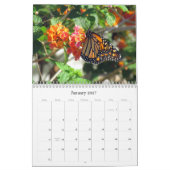 La beauté du calendrier de papillons (Jan 2027)
