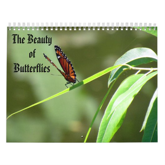 La beauté du calendrier de papillons (Protection)