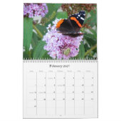 La beauté du calendrier de papillons (Feb 2027)