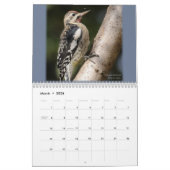 La beauté du calendrier sauvage d'oiseaux (Mar 2026)