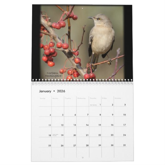 La beauté du calendrier sauvage d'oiseaux (Jan 2026)