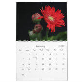 La beauté d'un jardin, calendrier de 2014 fleurs (Feb 2027)