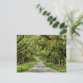 La Belle Allée de Chênes Carte de Remerciements (Debout devant)