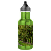 La Belle Bouteille D'Eau De L'Avenue Des Chênes (Droite)