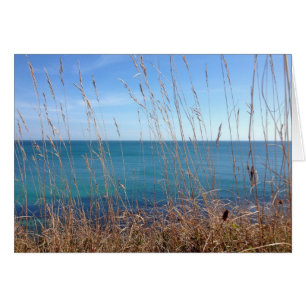 La belle Herbe et Mer