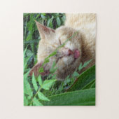 La Bête, Le Chat Le Plus Doux - Puzzle (Vertical)