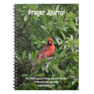 La Bible du cardinal rouge, Journal de prière