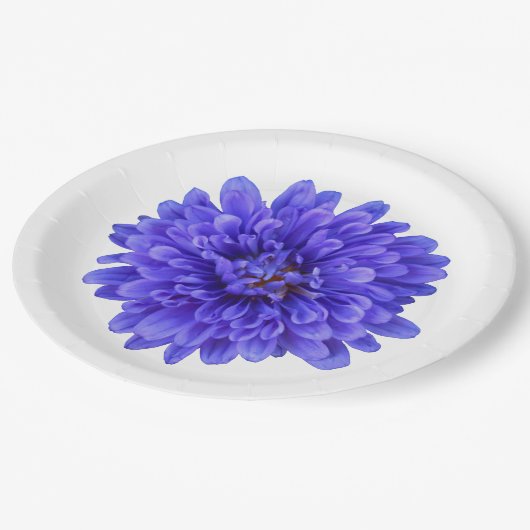 La Bluette Bord (Gekanteld)