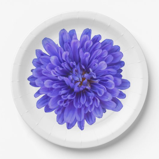 La Bluette Bord (Voorkant)