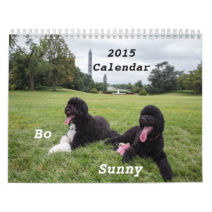 La BO 2015 et le calendrier ensoleillé