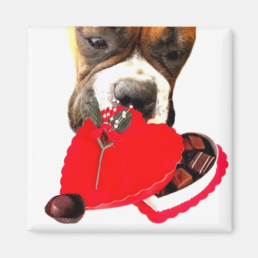La boîte de Saint-Valentin avec aimant chocolat (Devant)
