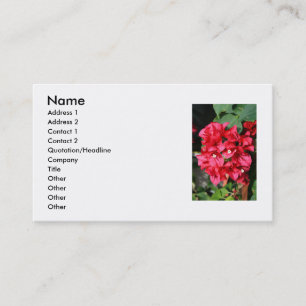 La bouganvillée fleurit le carte de visite