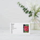 La bouganvillée fleurit le carte de visite (Debout devant)