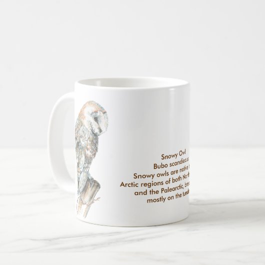 La Boule des neiges, la Mug (Devant gauche)