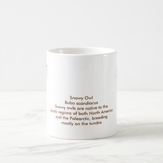 La Boule des neiges, la Mug (Centre)