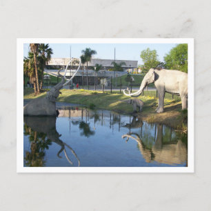 LA BREA TAR PITS #1 Briefkaart