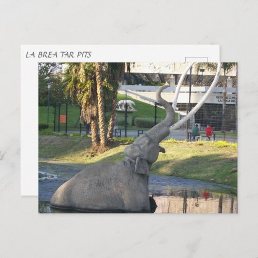 LA BREA TAR PITS #1 Briefkaart (Voorkant / Achterkant)