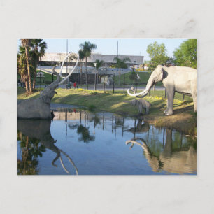 LA BREA TAR PITS #2 Carte postale