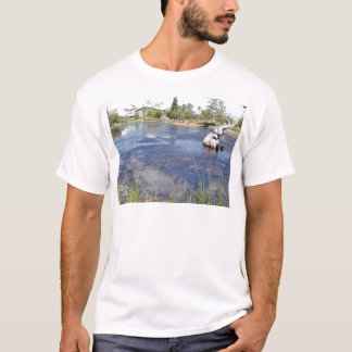 La Brea Tarpits Ponds Musea T-shirt