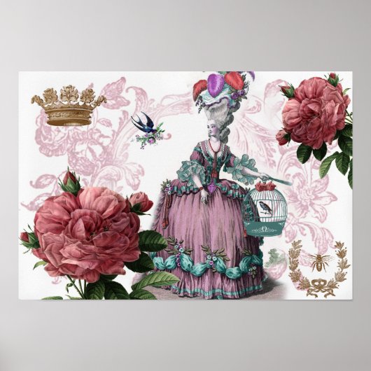 la cage aux oiseaux poster (Voorkant)