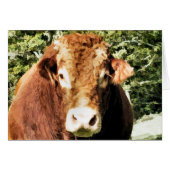 LA CARTE À BULLE (Devant horizontal)