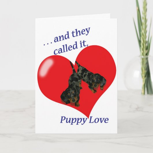 La carte Dachshund Puppy Love Valentine (Devant)