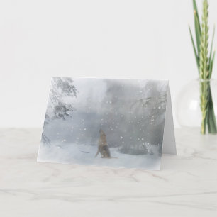 La carte de Christmas