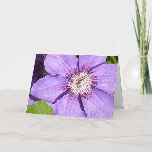 La Carte de crédit de Debbie (Devant)
