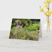 La Carte de Joe Pye Flowers (Fleur jaune)