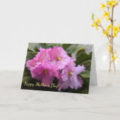 La carte de la Fête des Mères des Violettes africa (Fleur jaune)