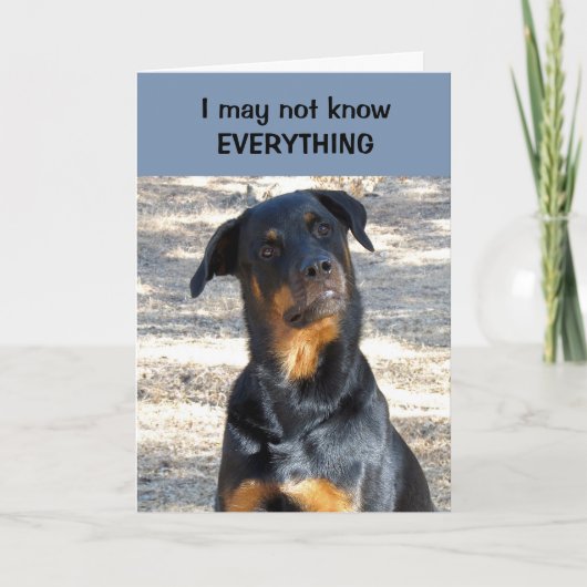 La carte de la Saint-Valentin Rottweiler (Devant)