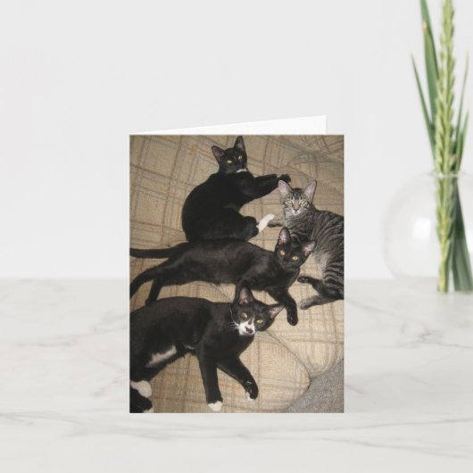 La carte de note de blanc d'équipage (Devant)