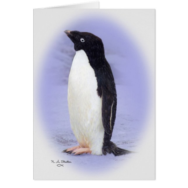 La carte de pingouin d'Ade'lie (Devant)