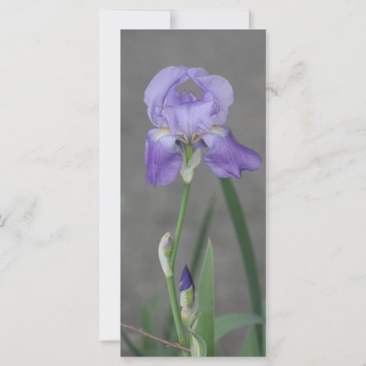 La carte de prière des dix commandements (Dos)