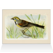 La carte de remerciement de Dicki Bird (Intérieur Horizontal (Haut))