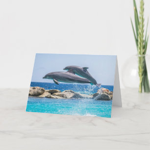 La carte de Valentine de dauphins
