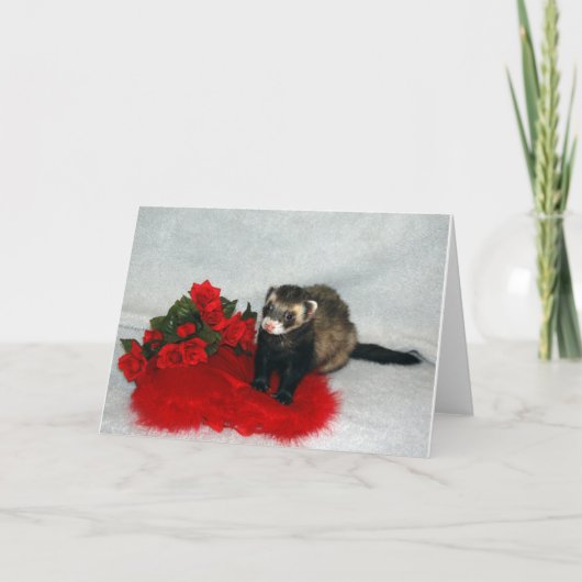 La carte de Valentine de furet (Devant)